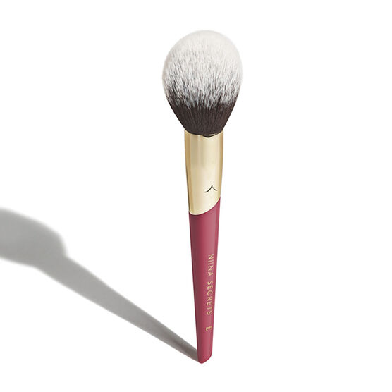 PINCEL P BLUSHNIINA SECRETS